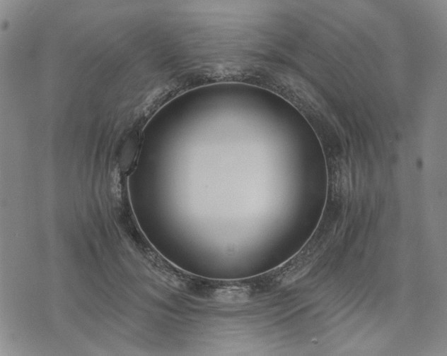 X0000076390700200610161140