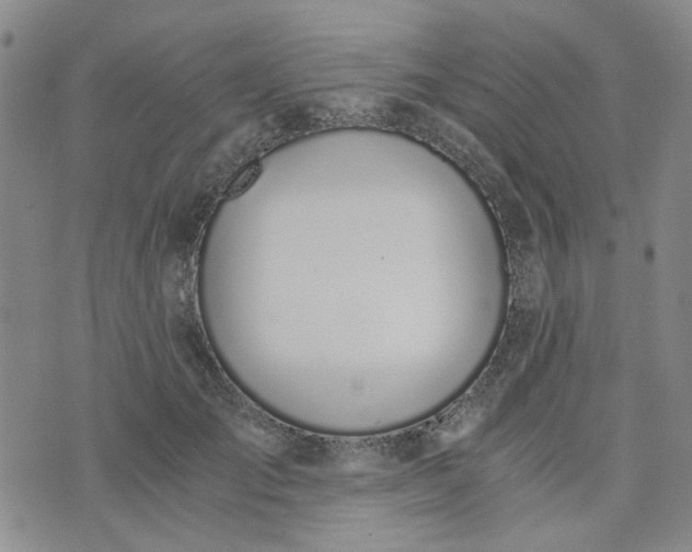 X0000076390701200610161140