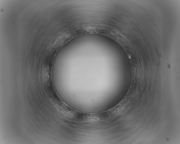 X0000076390702200610161140