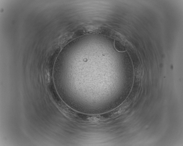 X0000076390703200610161140