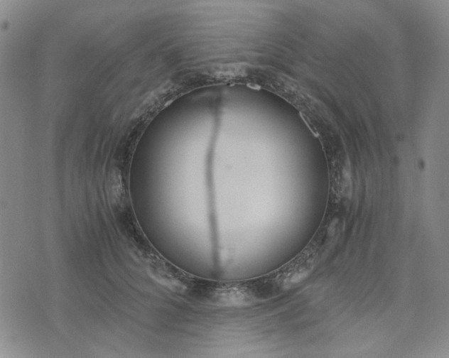 X0000076390704200610161140