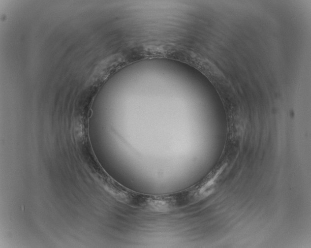 X0000076390706200610161140