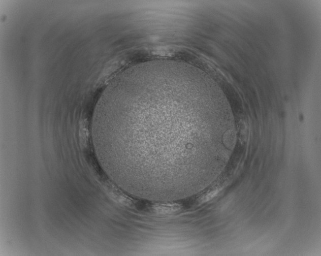 X0000076390707200610161140