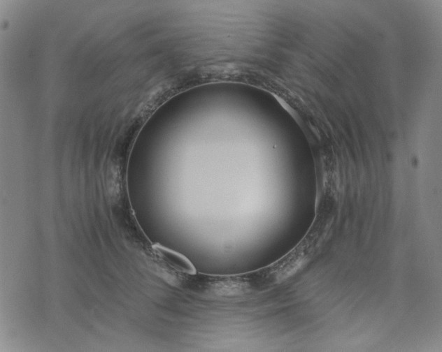 X0000076390708200610161140