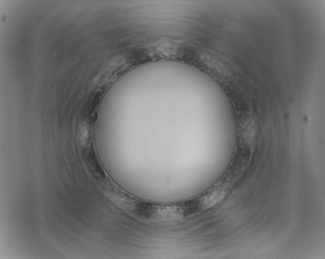 X0000076390709200610161140