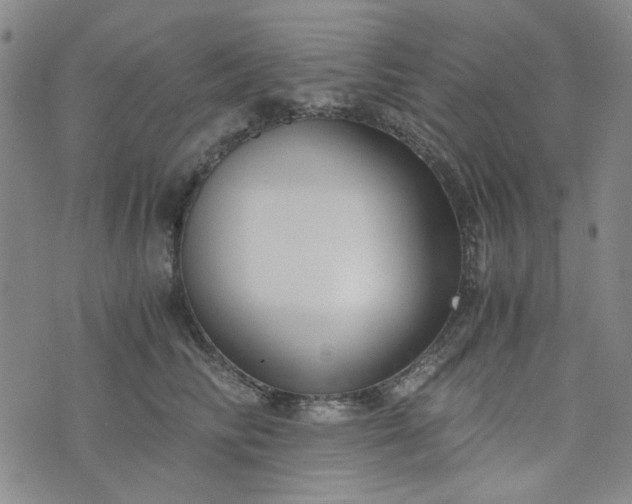 X0000076390710200610161140