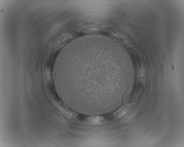 X0000076390711200610161140