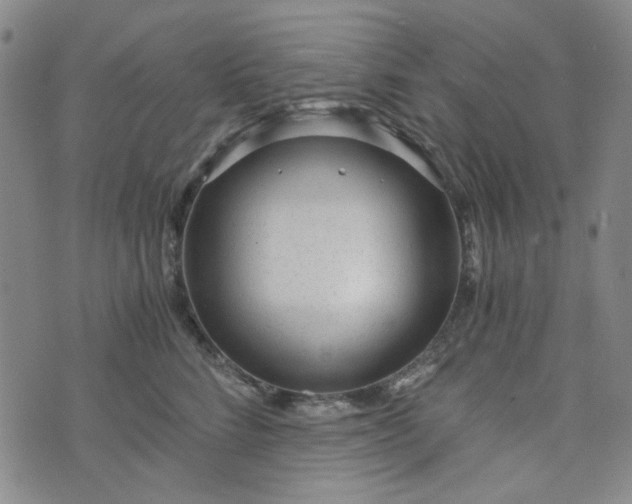 X0000076390712200610161140