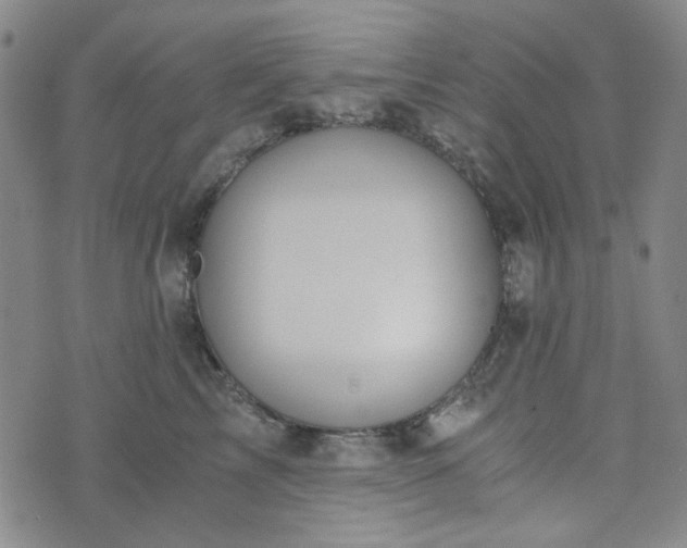 X0000076390713200610161140