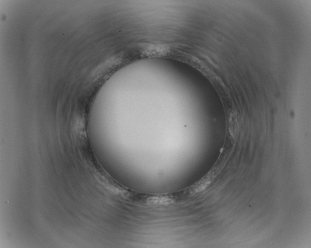 X0000076390714200610161140