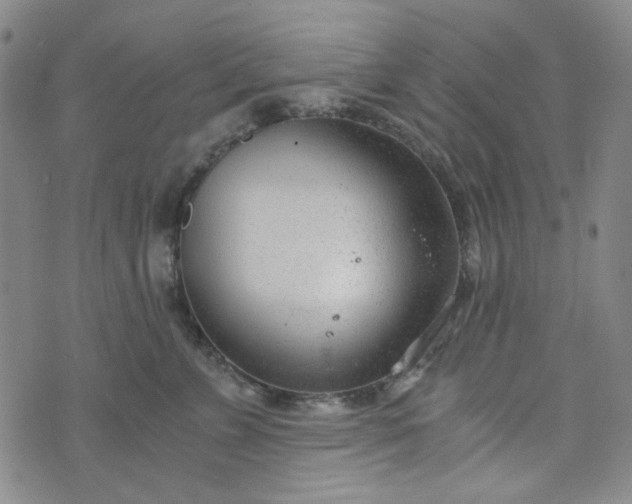 X0000076390715200610161140