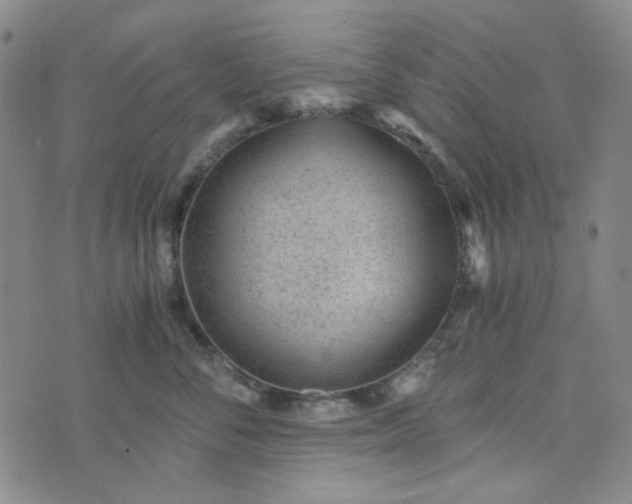 X0000076390716200610161140