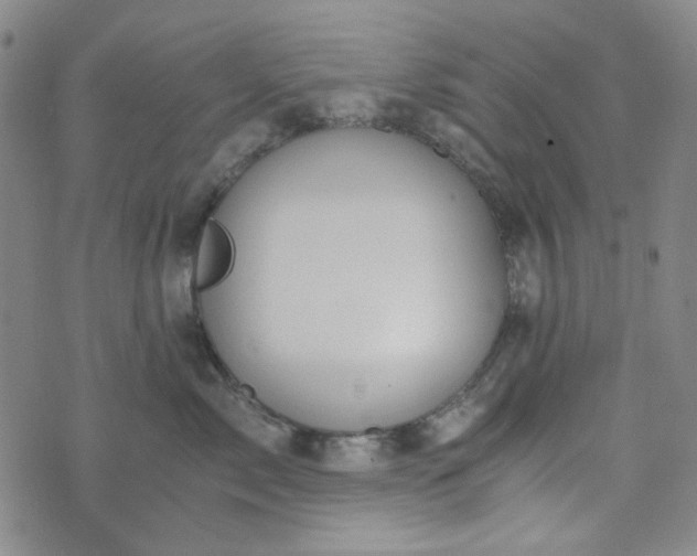 X0000076390717200610161140