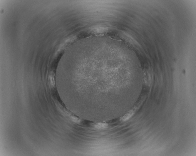 X0000076390718200610161140