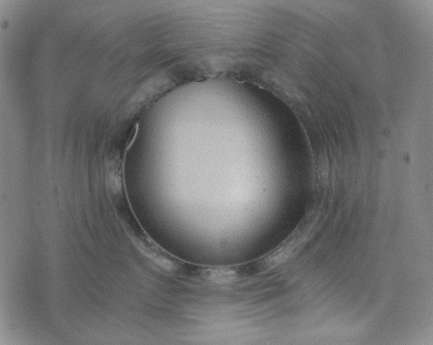 X0000076390719200610161140