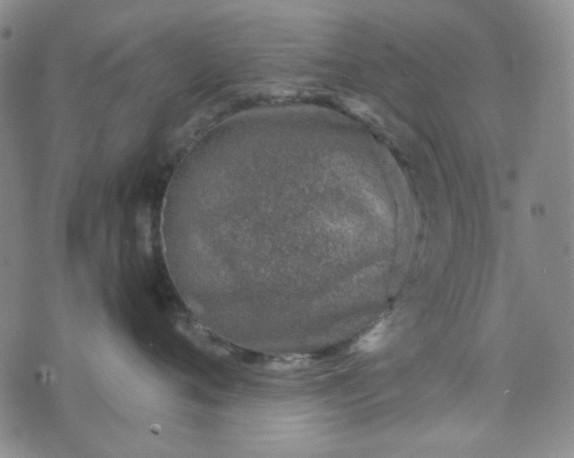 X0000076390720200610161140