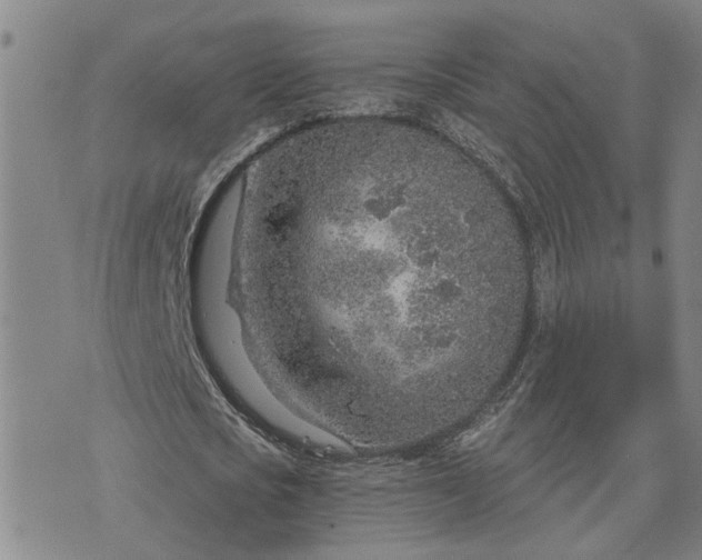 X0000076390721200610161139