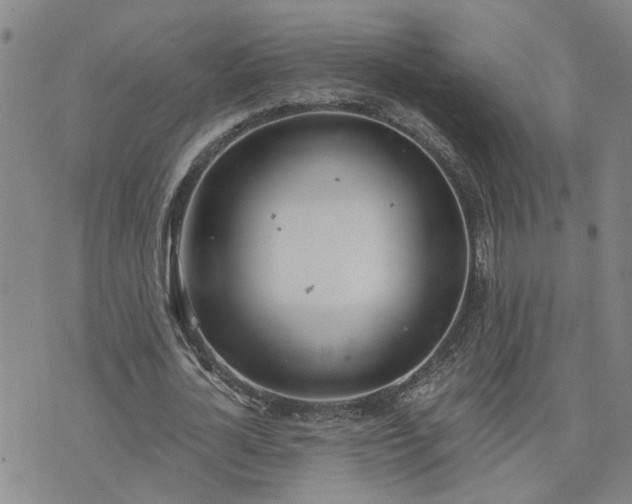 X0000076390724200610161139