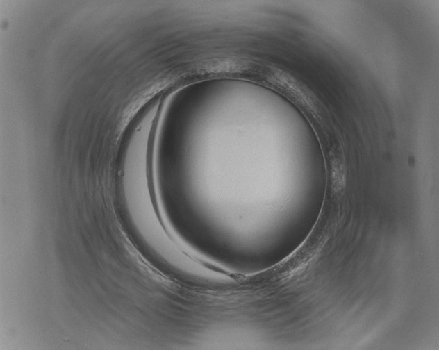 X0000076390725200610161139