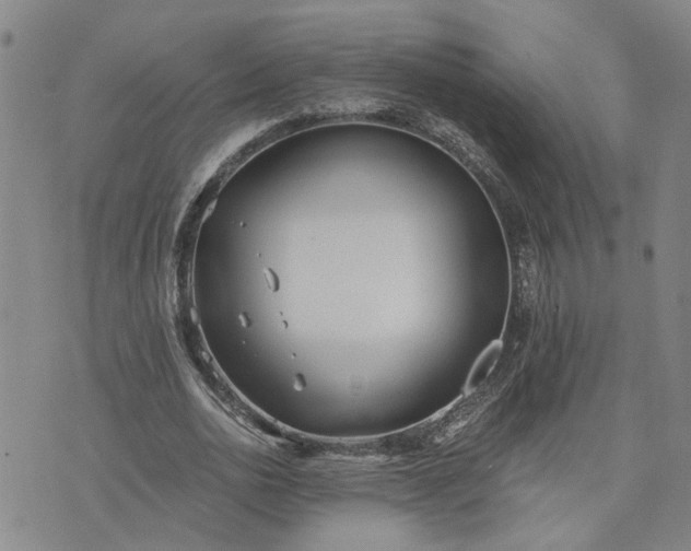 X0000076390726200610161139