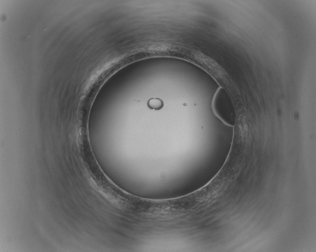 X0000076390728200610161139