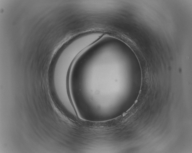 X0000076390730200610161139