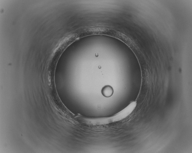 X0000076390731200610161139