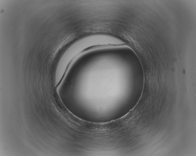 X0000076390735200610161139