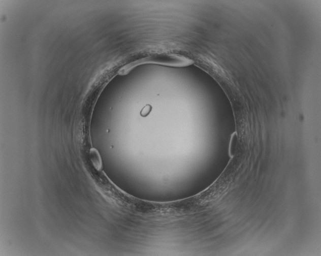 X0000076390736200610161139