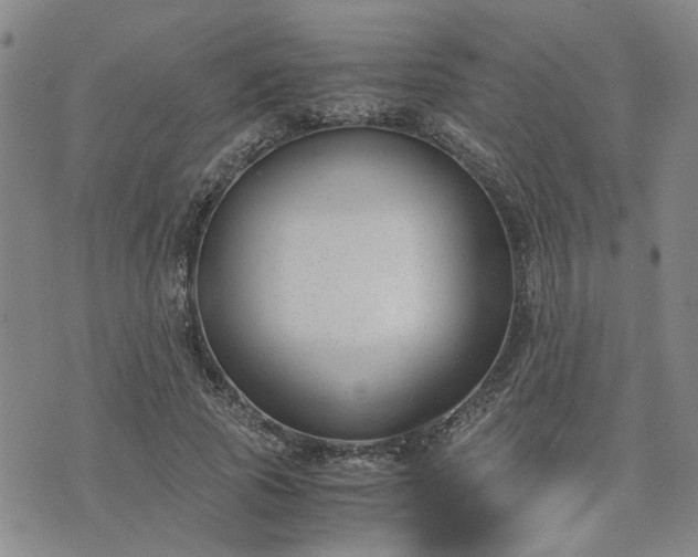 X0000076390737200610161139