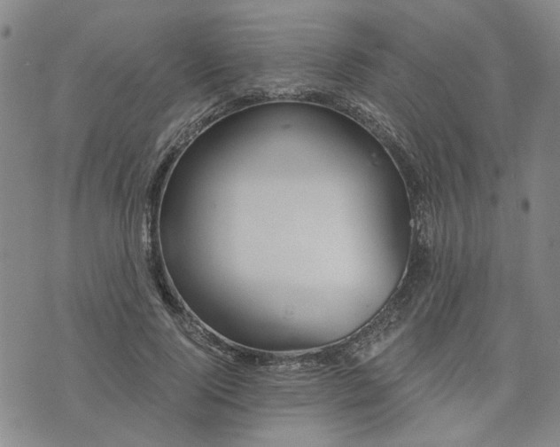 X0000076390740200610161140