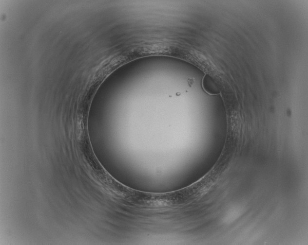 X0000076390741200610161140