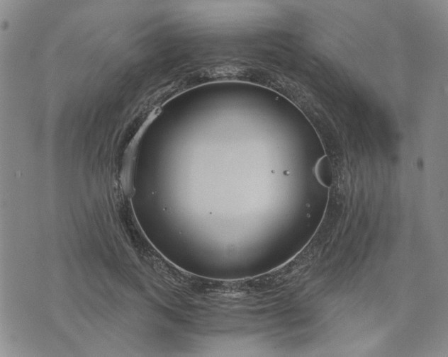 X0000076390743200610161140