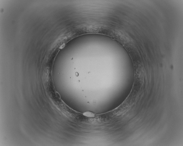 X0000076390744200610161140