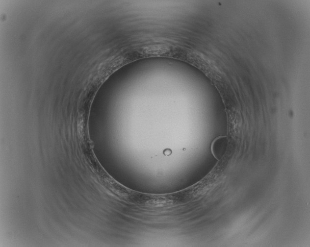 X0000076390745200610161140