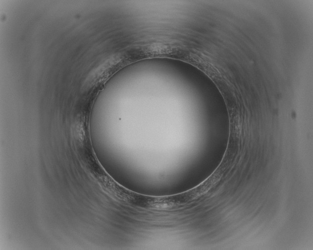 X0000076390746200610161140