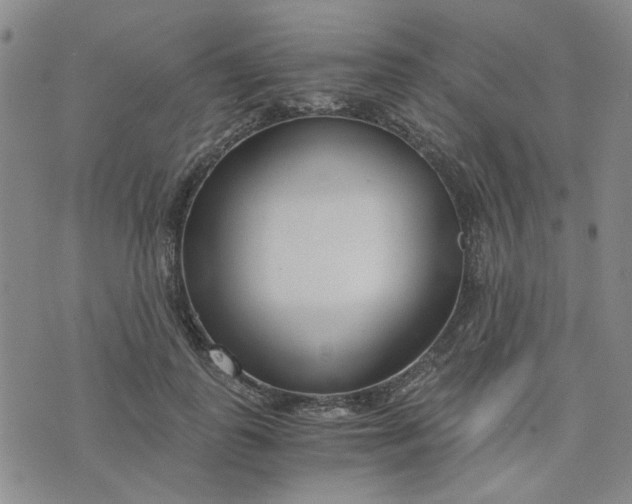 X0000076390747200610161140