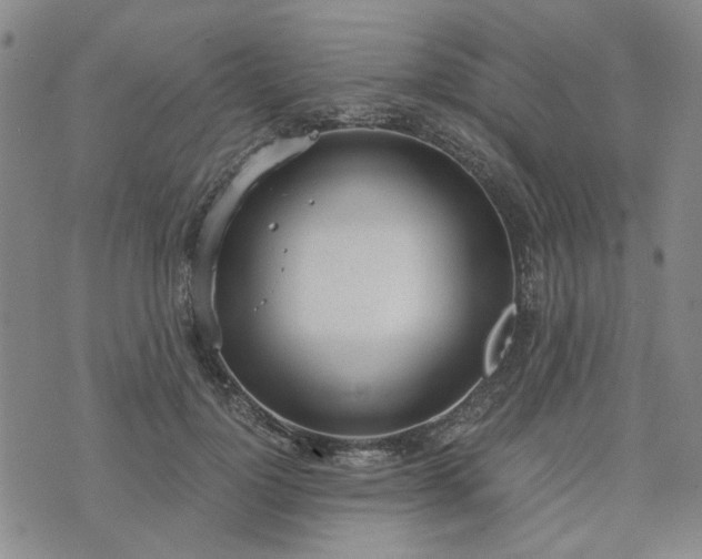 X0000076390748200610161140