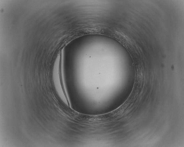 X0000076390749200610161140