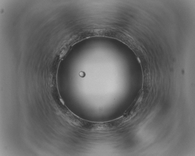 X0000076390750200610161140