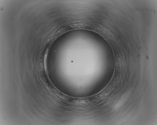 X0000076390751200610161140