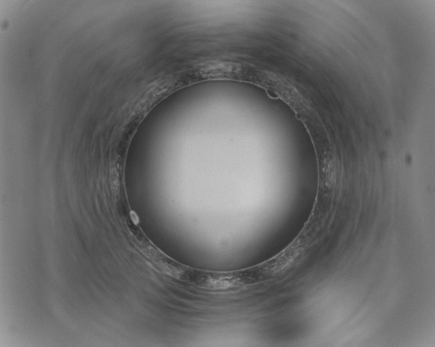 X0000076390753200610161140