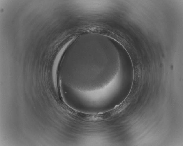 X0000076390754200610161140