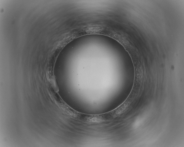 X0000076390755200610161140