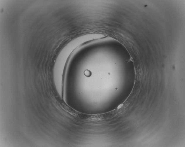 X0000076390756200610161140