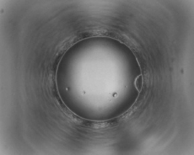 X0000076390757200610161140