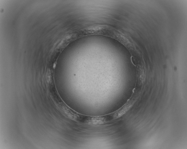 X0000076390758200610161140