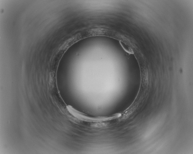 X0000076390759200610161140