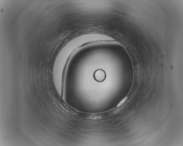 X0000076390760200610161140