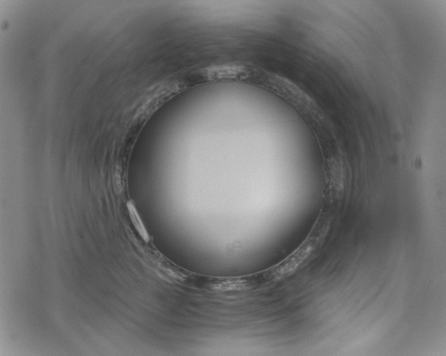 X0000076390761200610161140